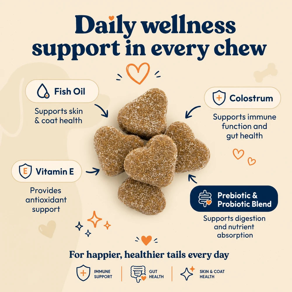 Daily Tails Gut Health Multivitamin
