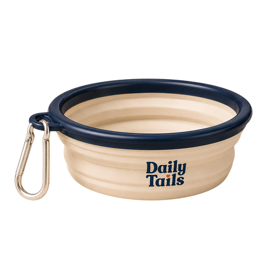 Collapsible Travel Bowl